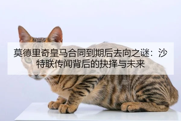 莫德里奇皇马合同到期后去向之谜：沙特联传闻背后的抉择与未来